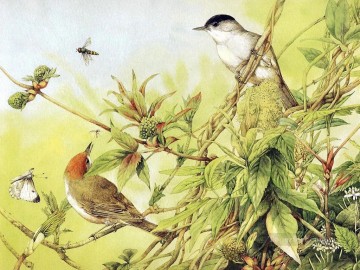花 鳥 Painting - 鳥 蜂 蝶